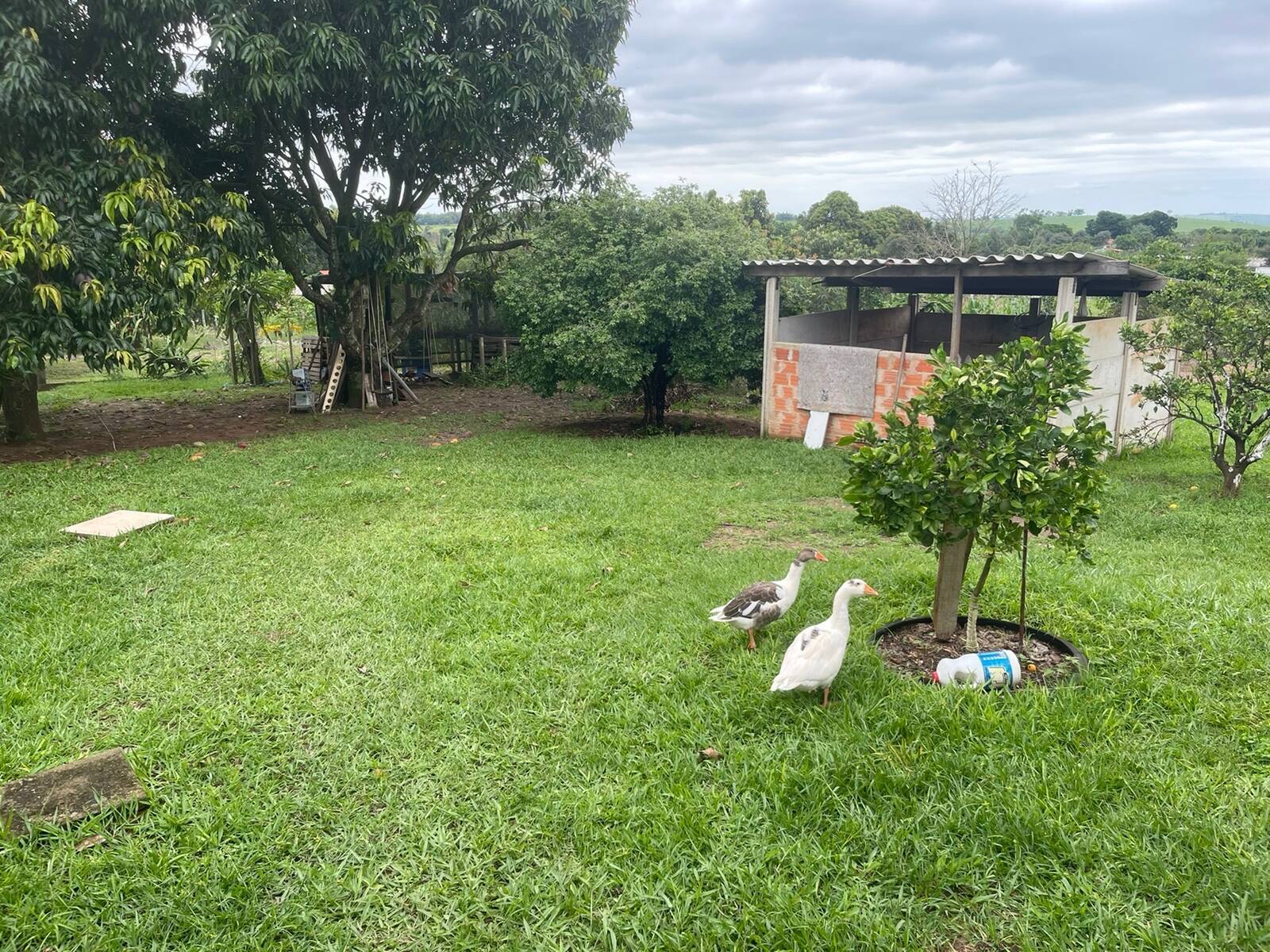 Chácara à venda com 3 quartos, 218m² - Foto 2