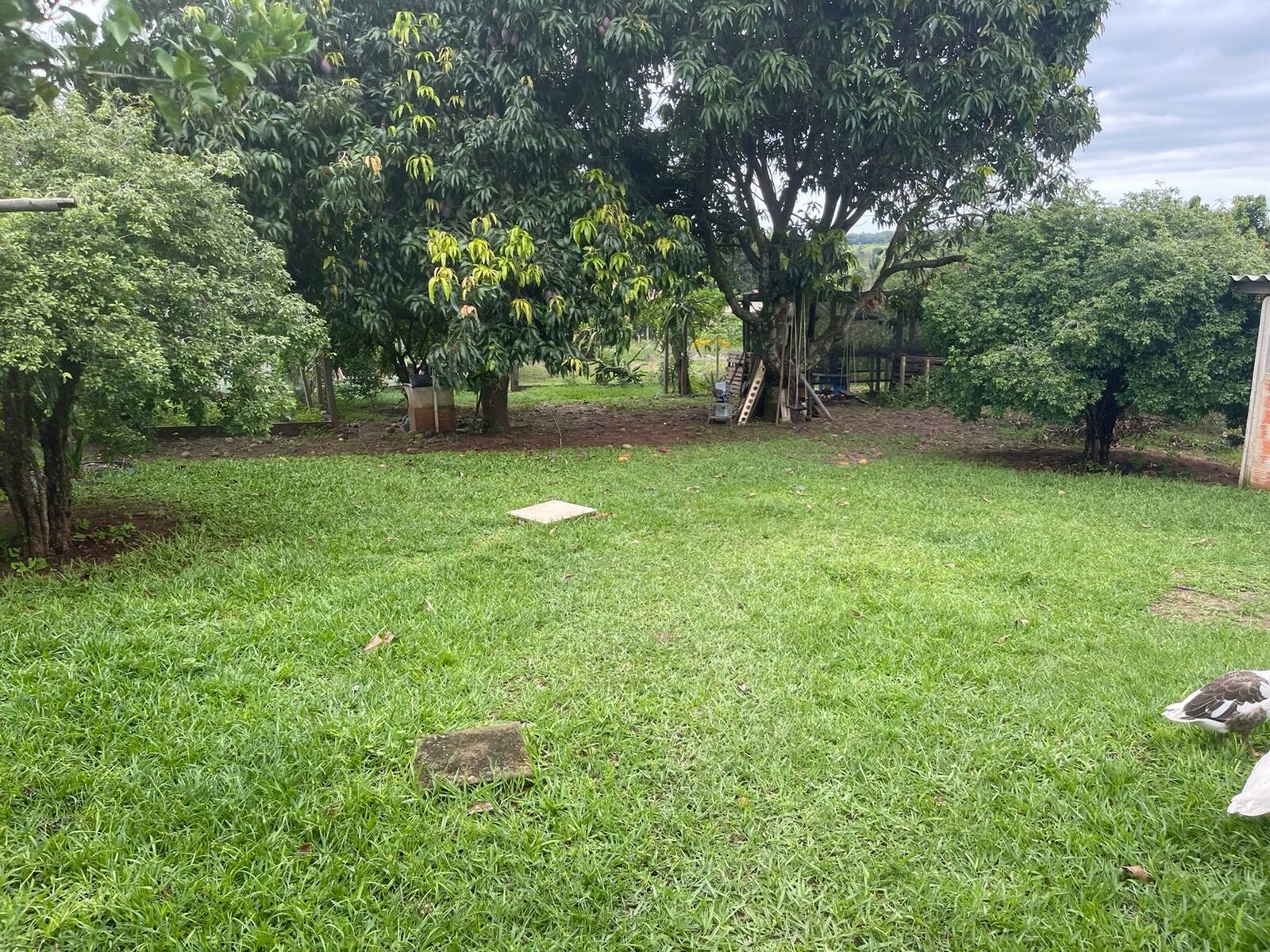 Chácara à venda com 3 quartos, 218m² - Foto 21
