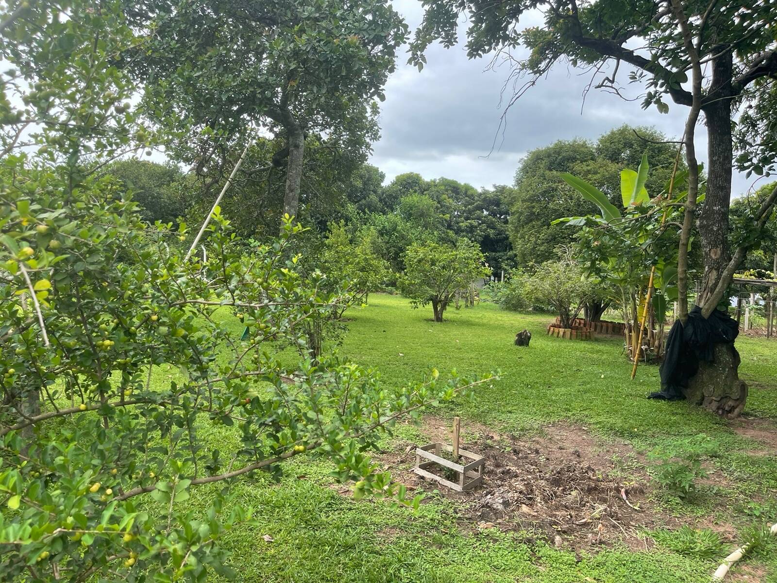Chácara à venda com 4 quartos, 250m² - Foto 20