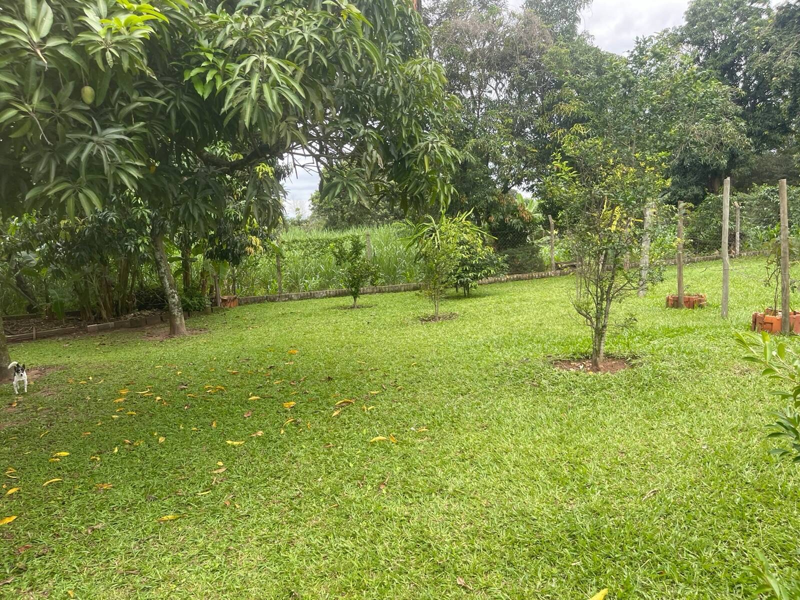 Chácara à venda com 4 quartos, 250m² - Foto 28