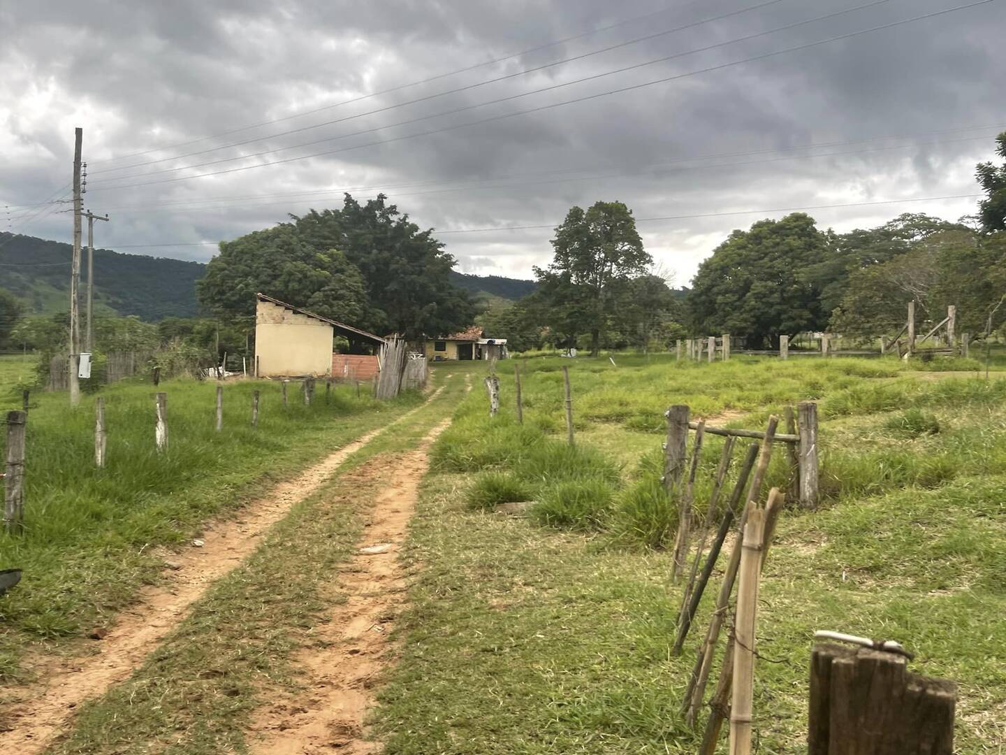 Sítio à venda com 6 quartos, 22000m² - Foto 4
