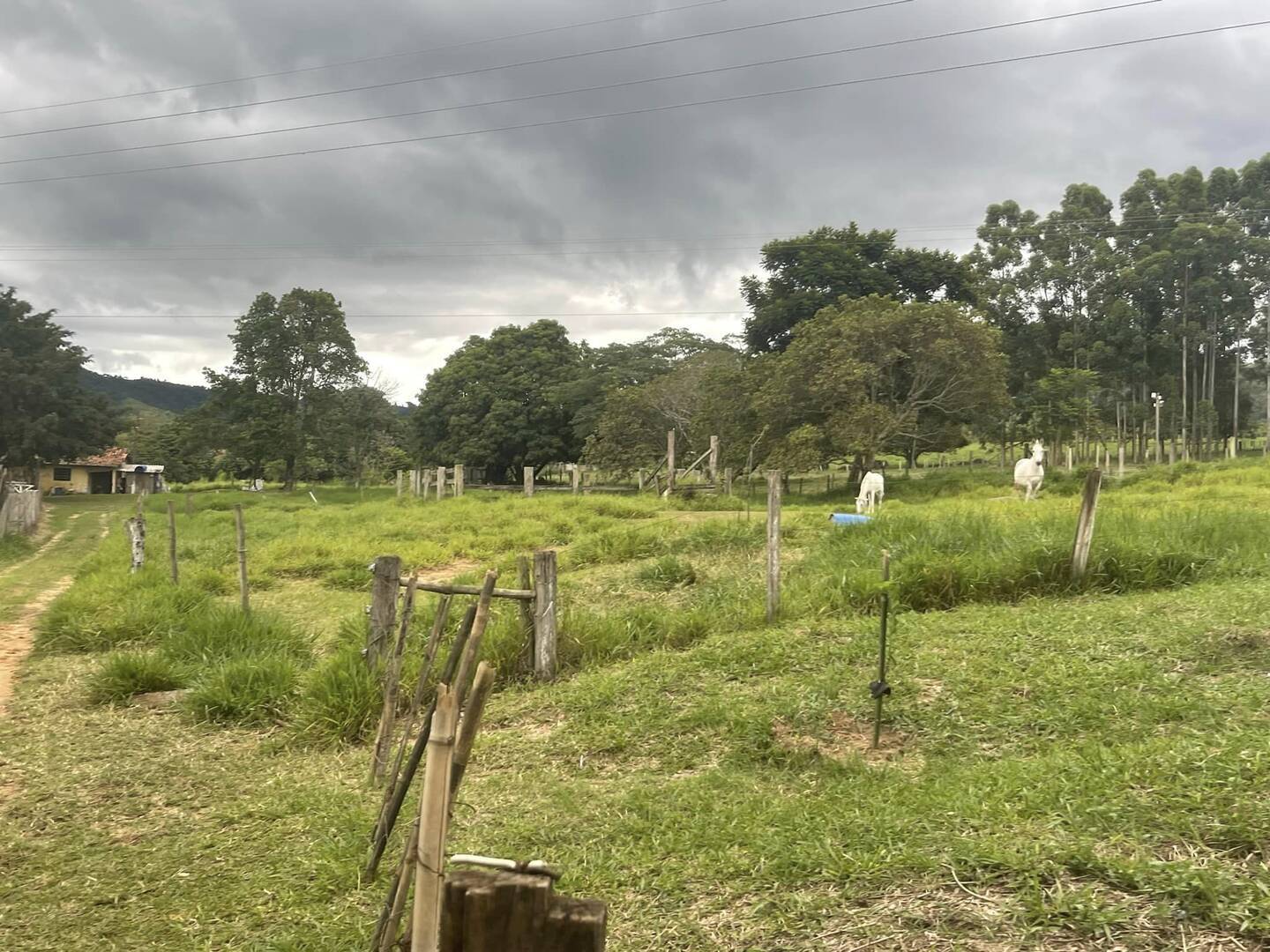 Sítio à venda com 6 quartos, 22000m² - Foto 5
