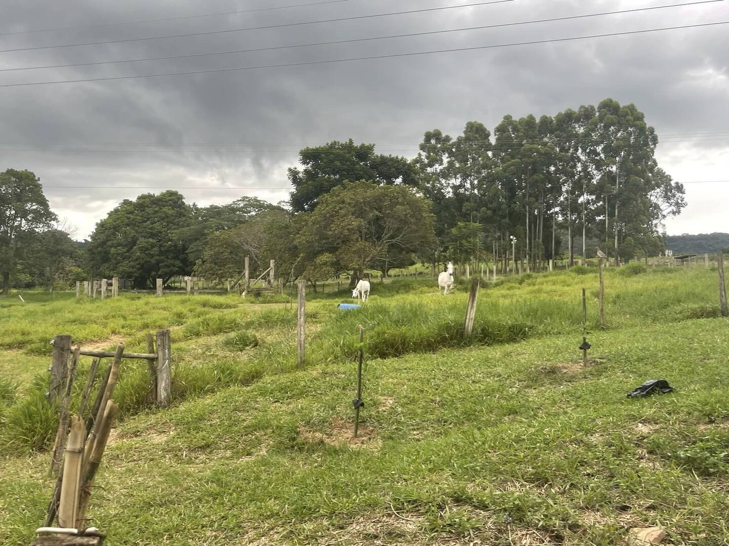 Sítio à venda com 6 quartos, 22000m² - Foto 6