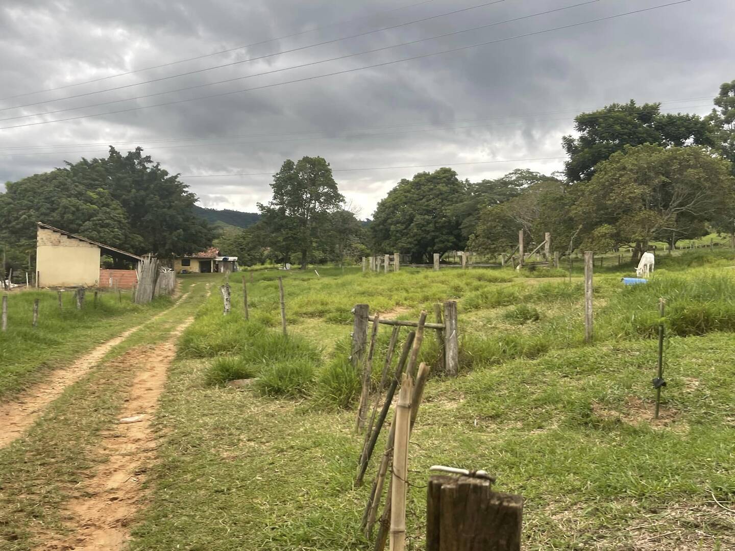 Sítio à venda com 6 quartos, 22000m² - Foto 8