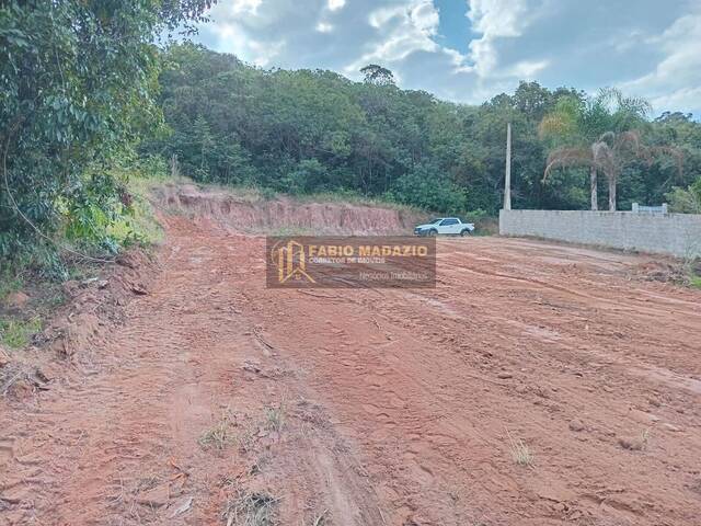 #1008 - Área para Venda em São Pedro - SP - 1