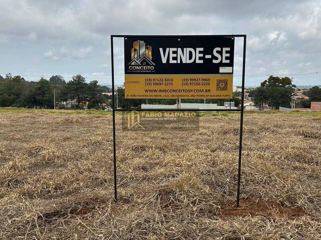 #1009 - Área para Venda em São Pedro - SP - 2