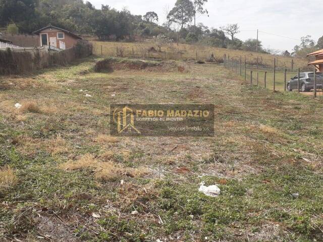#1015 - Terreno para Venda em São Pedro - SP - 3
