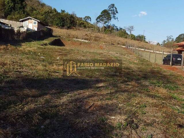 Terreno para Venda em São Pedro - 4