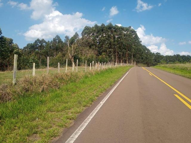 #527 - Sítio para Venda em São Pedro - SP - 1