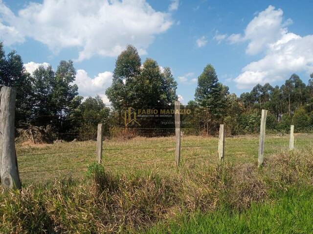 Sítio para Venda em São Pedro - 4