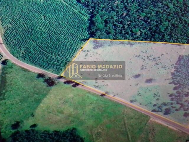 Sítio para Venda em São Pedro - 5