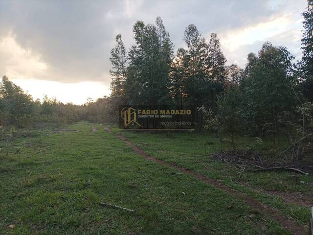 Sítio para Venda em São Pedro - 4