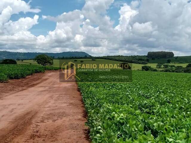 Sítio para Venda em Itamogi - 4