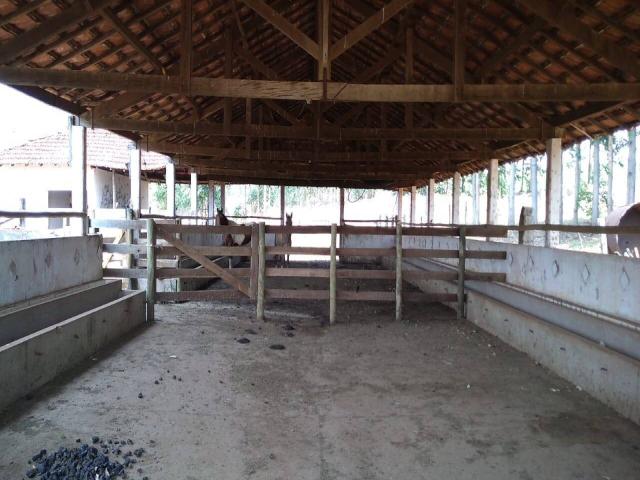 #538 - Fazenda para Venda em Tambaú - SP