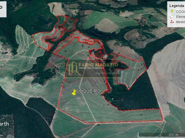 Fazenda para Venda em Tambaú - 4