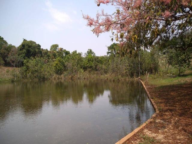 #538 - Fazenda para Venda em Tambaú - SP