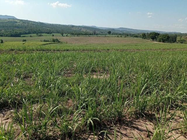 Venda em Área Rural de Charqueada - Charqueada