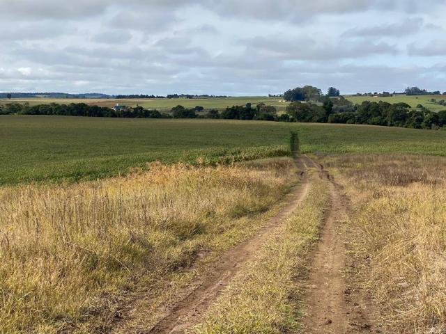 Venda em Área Rural - Tietê