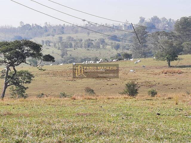Sítio para Venda em Tietê - 5