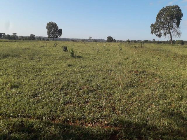 #544 - Fazenda para Venda em Campina Verde - MG