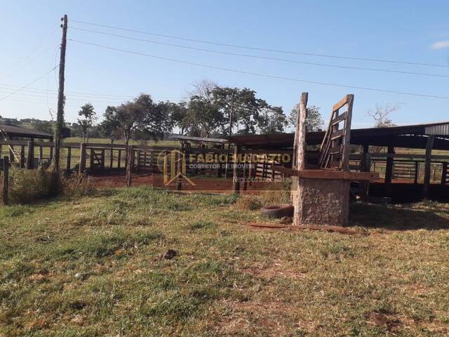 Fazenda para Venda em Campina Verde - 5