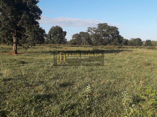 Fazenda para Venda em Campina Verde - 4