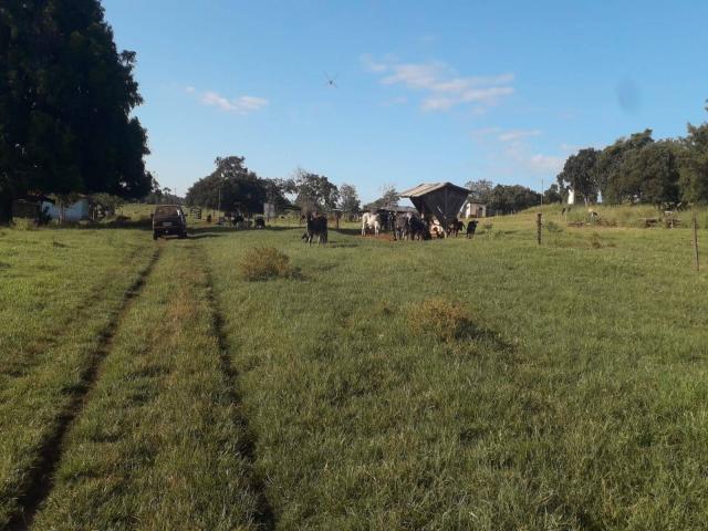 #544 - Fazenda para Venda em Campina Verde - MG - 1