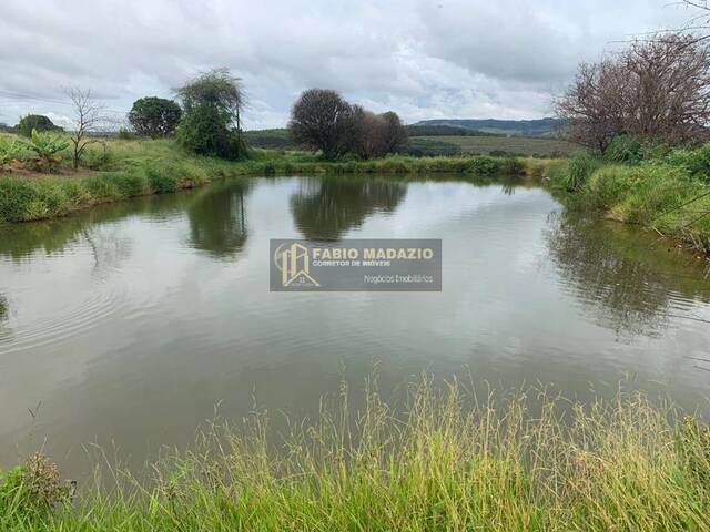 Fazenda para Venda em São Simão - 5