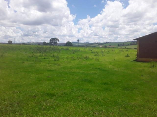 #547 - Fazenda para Venda em Descalvado - SP - 2