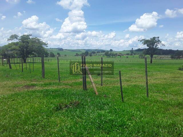 Fazenda para Venda em Descalvado - 4