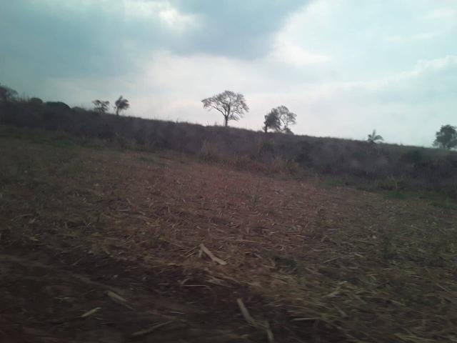 #547 - Fazenda para Venda em Descalvado - SP