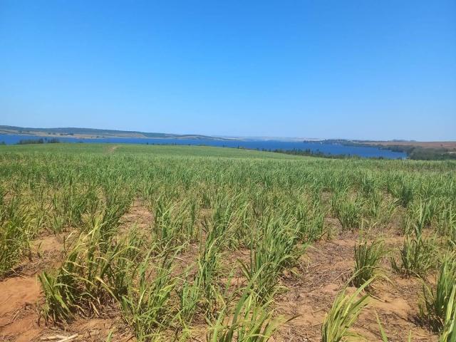 #552 - Fazenda para Venda em São Pedro - SP