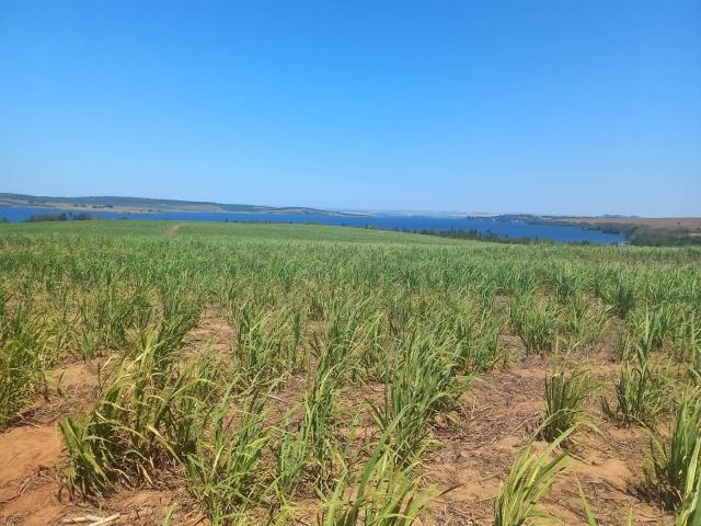 #552 - Fazenda para Venda em São Pedro - SP - 3