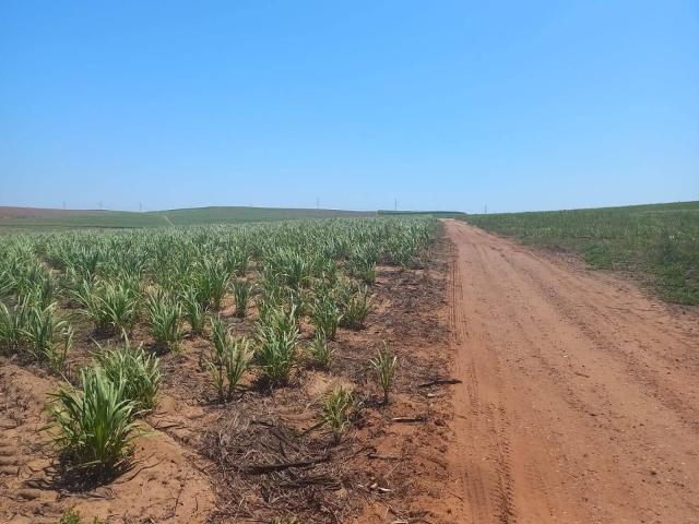 #552 - Fazenda para Venda em São Pedro - SP