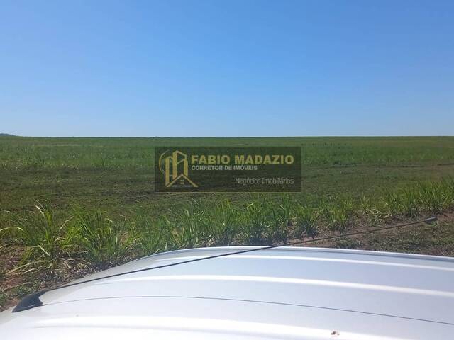 Fazenda para Venda em São Pedro - 5