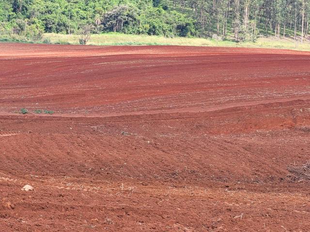 #556 - Sítio para Venda em Santa Rosa de Viterbo - SP - 1