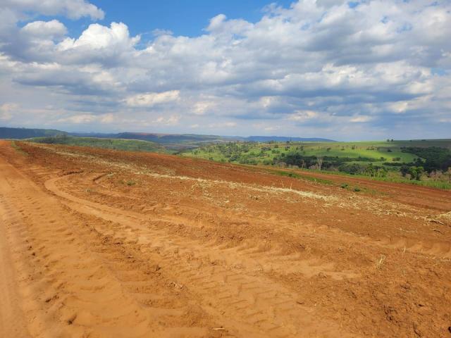 #556 - Sítio para Venda em Santa Rosa de Viterbo - SP