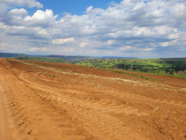 #556 - Sítio para Venda em Santa Rosa de Viterbo - SP - 2