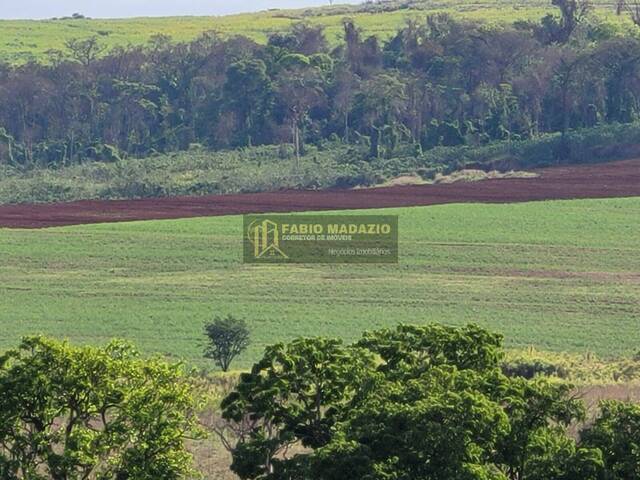 Sítio para Venda em Santa Rosa de Viterbo - 5