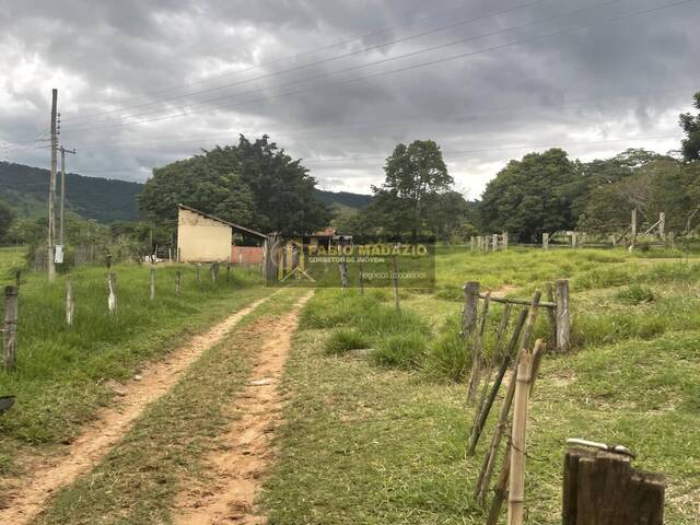 Sítio para Venda em São Pedro - 4