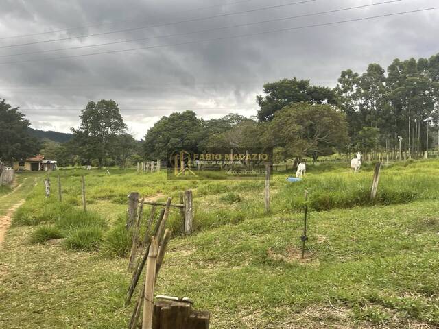 Sítio para Venda em São Pedro - 5