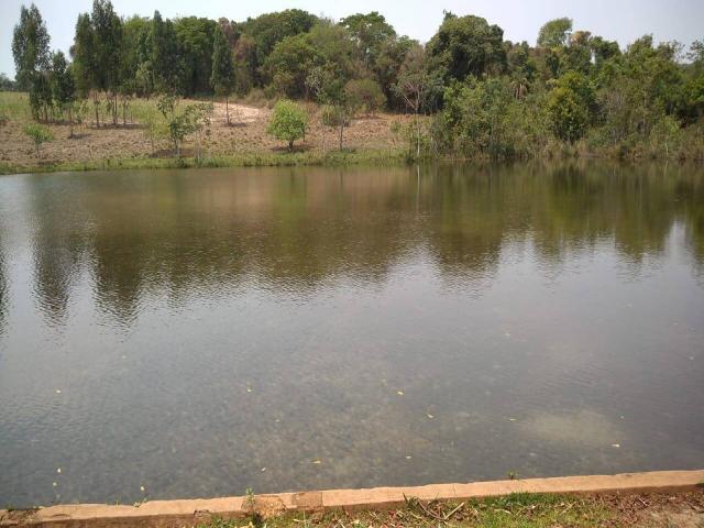 #576 - Fazenda para Venda em Mogi Guaçu - SP