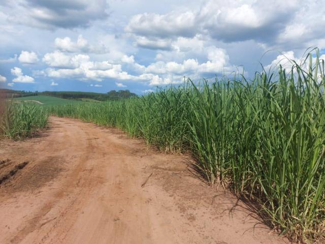 Venda em ÁREA RURAL DE PIRACICABA - Piracicaba