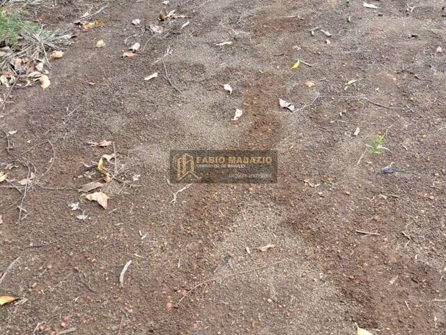 Sítio para Venda em São Pedro - 5