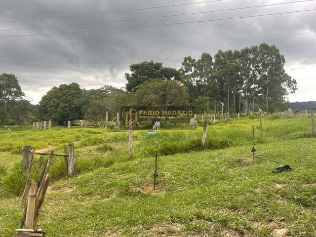 Sítio para Venda em São Pedro - 4