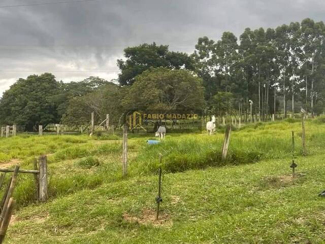 Sítio para Venda em São Pedro - 5