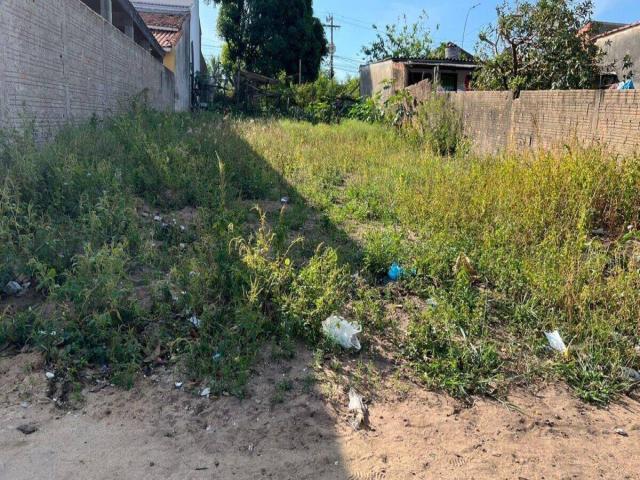 #590 - Terreno para Venda em São Pedro - SP