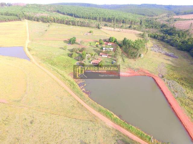Sítio para Venda em São Pedro - 5
