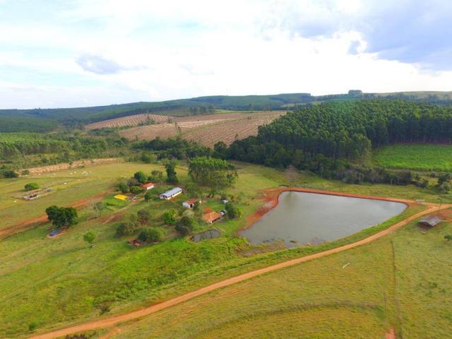 #593 - Sítio para Venda em São Pedro - SP