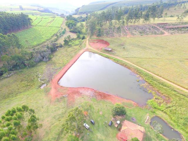 #593 - Sítio para Venda em São Pedro - SP - 1